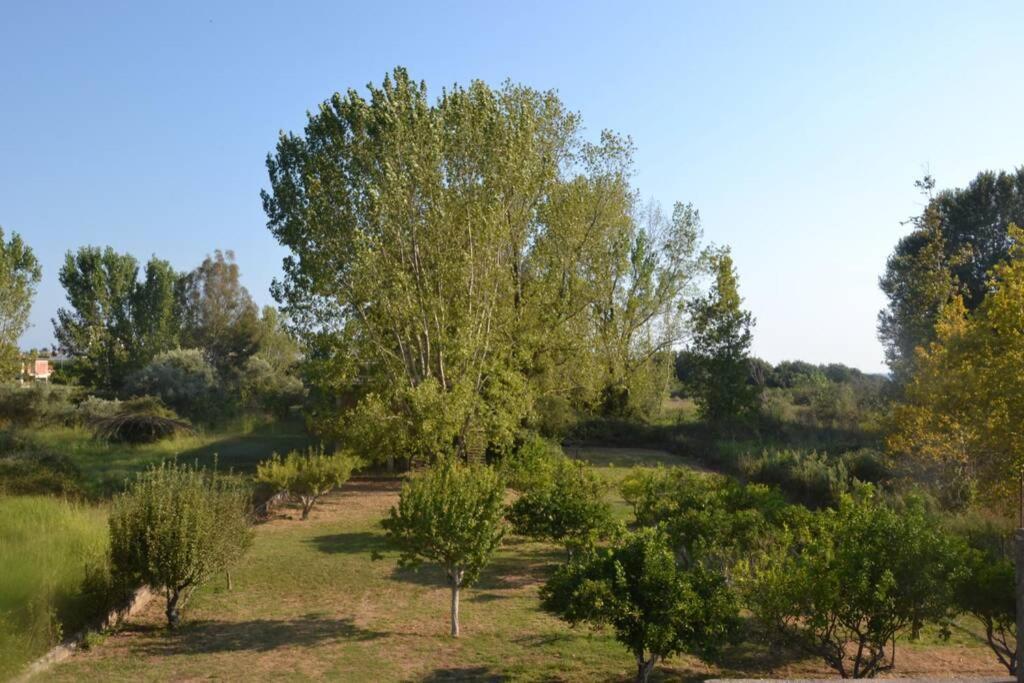 Beach House Into The Green! Preveza Exteriör bild