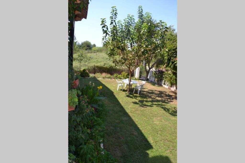Beach House Into The Green! Preveza Exteriör bild