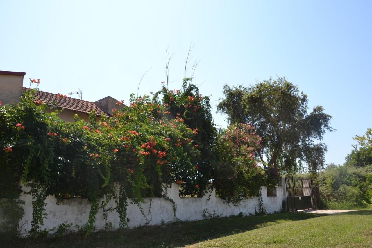 Beach House Into The Green! Preveza Exteriör bild