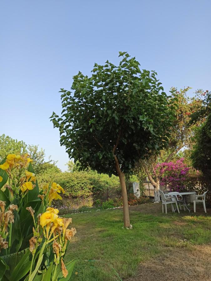 Beach House Into The Green! Preveza Exteriör bild